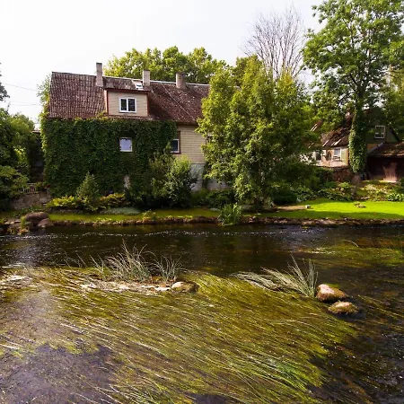 Lossi 8 -4 Maida بولتساما