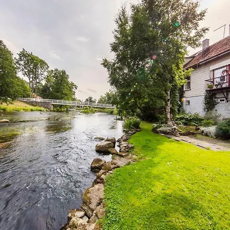 Lossi 8 -4 Maida * بولتساما