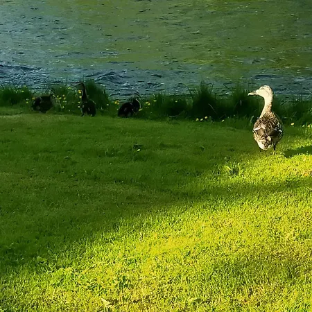 Lossi 8 -4 Maida * Poltsamaa