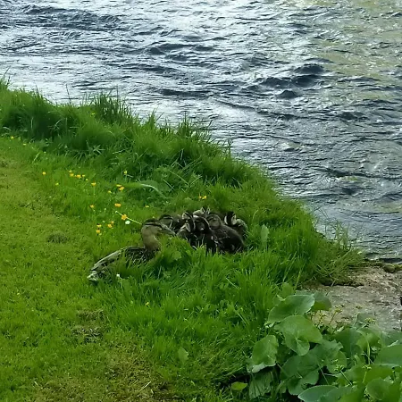 Lejlighed Lossi 8 -4 Maida