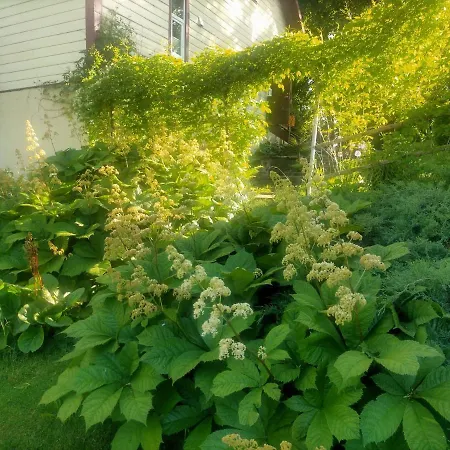 شقة Lossi 8 -4 Maida