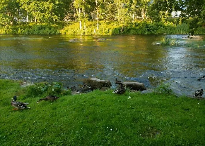 Lossi 8 -4 Maida ポルツァマー