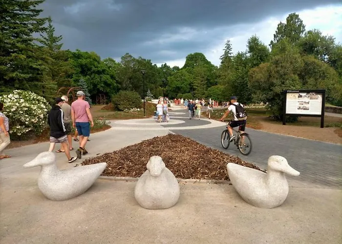 Lossi 8 -4 Maida ポルツァマー