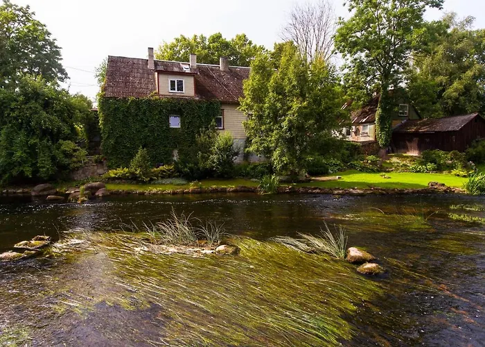 Lossi 8 -4 Maida ポルツァマー