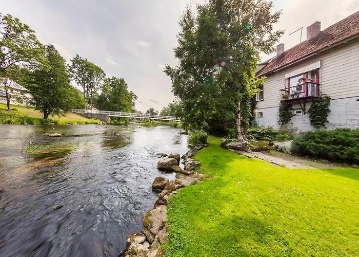 Lossi 8 -4 Maida * بولتساما