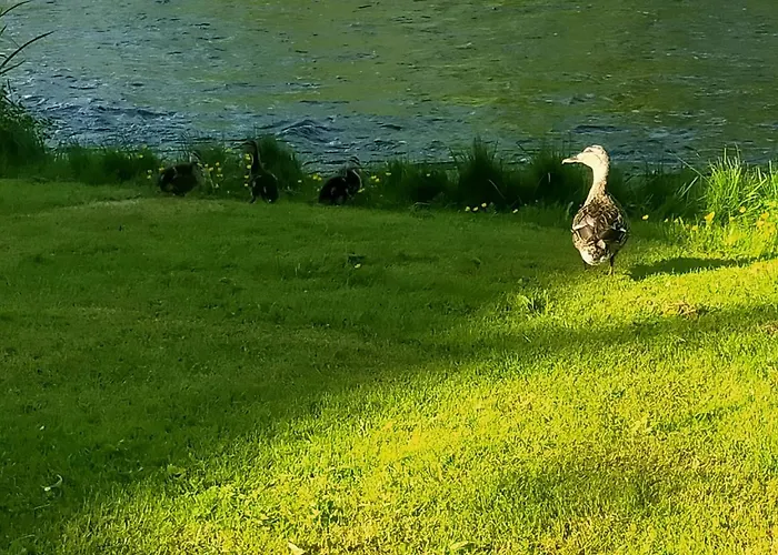 Lossi 8 -4 Maida * Poltsamaa