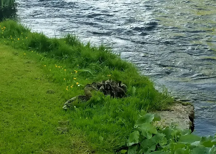 Apartamento Lossi 8 -4 Maida