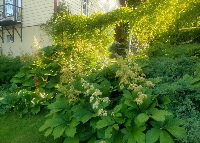 شقة Lossi 8 -4 Maida